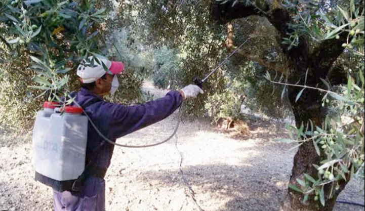 Διαγωνισμός 1.018.557,75€ για την Προστασία της Ελιάς – Ψεκασμοί κατά του Δάκου Διαγωνισμός 1.018.557,75€ για την Προστασία της Ελιάς – Ψεκασμοί κατά του Δάκου