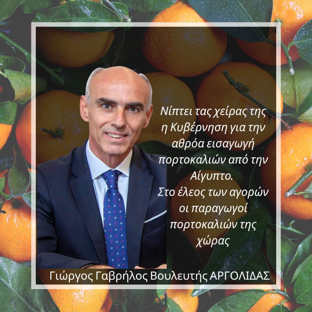 Γ. Γαβρήλος: Νίπτει τας χείρας της η Κυβέρνηση για την αθρόα εισαγωγή πορτοκαλιών από την Αίγυπτο.