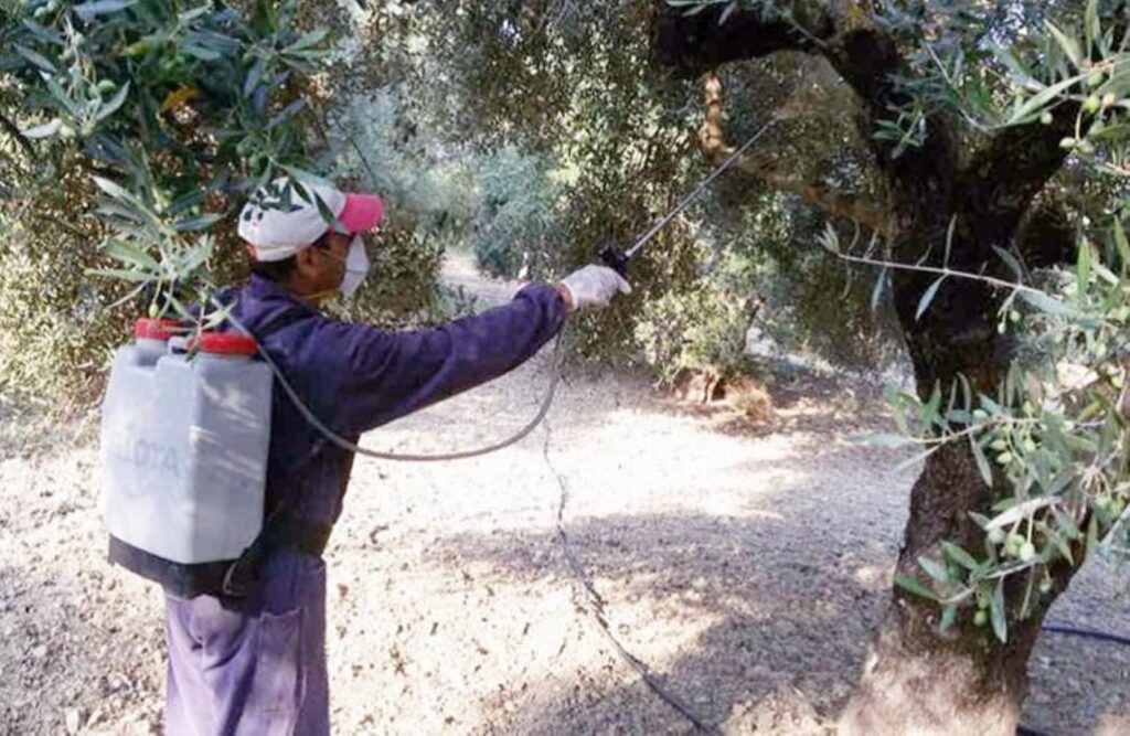 Διαγωνισμός 858.000€ για Δολωματικούς Ψεκασμούς στην Αργολίδα – Υποβολή έως 14/03 Διαγωνισμός 858.000€ για Δολωματικούς Ψεκασμούς στην Αργολίδα – Υποβολή έως 14/03