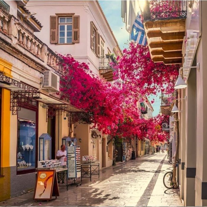 Δήμος Ναυπλιέων: Αυστηρή Εφαρμογή του Ωραρίου Φορτοεκφόρτωσης στο Ιστορικό Κέντρο Δήμος Ναυπλιέων: Αυστηρή Εφαρμογή του Ωραρίου Φορτοεκφόρτωσης στο Ιστορικό Κέντρο