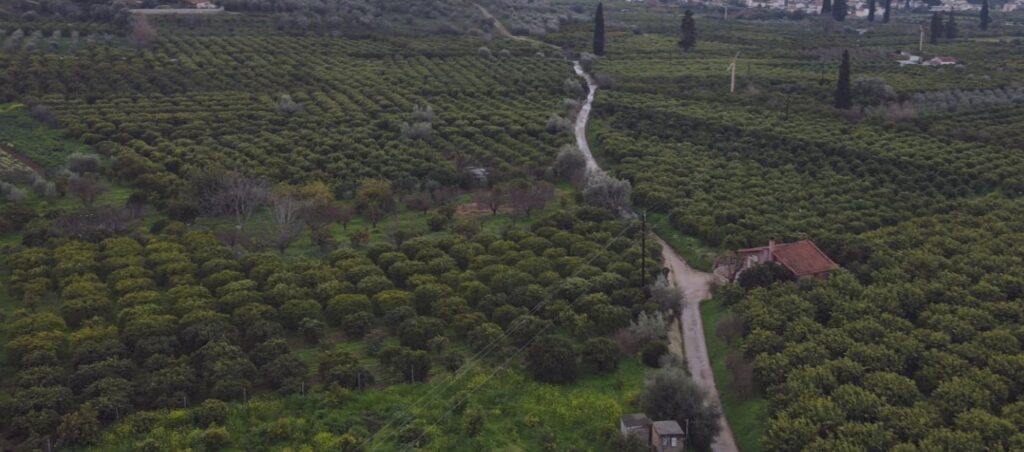 Δήμος Ναυπλιέων: Πρόταση 1,9 εκατ. ευρώ για τη βελτίωση αγροτικών δρόμων Δήμος Ναυπλιέων: Πρόταση 1,9 εκατ. ευρώ για τη βελτίωση αγροτικών δρόμων