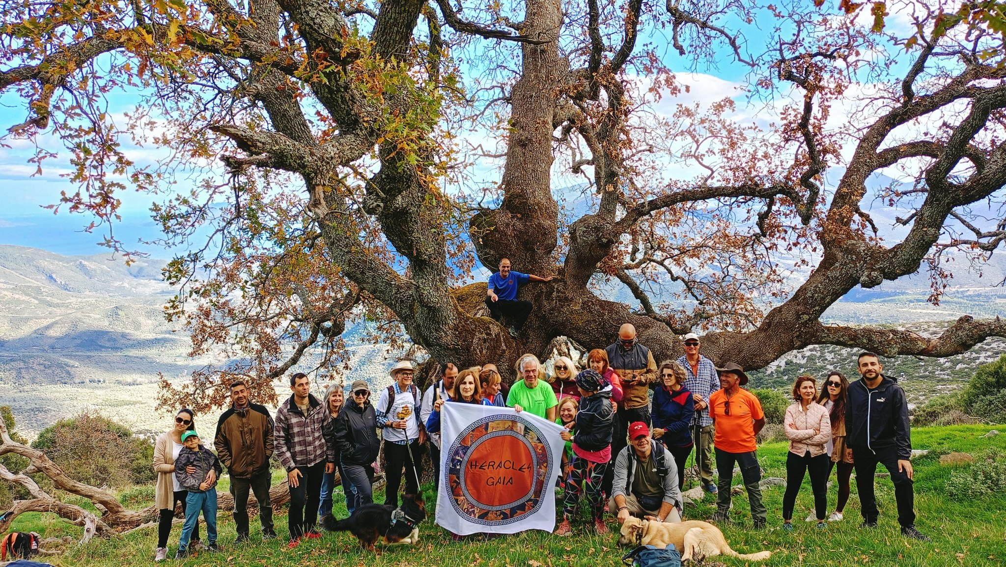 ΣΤΟ ΔΡΥΟΔΑΣΟΣ ΤΟΥ ΑΡΝΑ…23/11/25