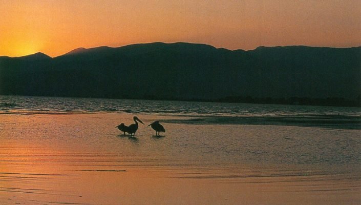 Από την αρνητική στη θετική γνωμοδότηση “εν μια νυκτί”: Τι συνέβη με τη ΜΠΕ του έργου στην παραλιακή Ναυπλίου – Νέας Κίου ?