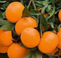 Η λαϊκή αγορά στο Ναύπλιο και  στο Άργος