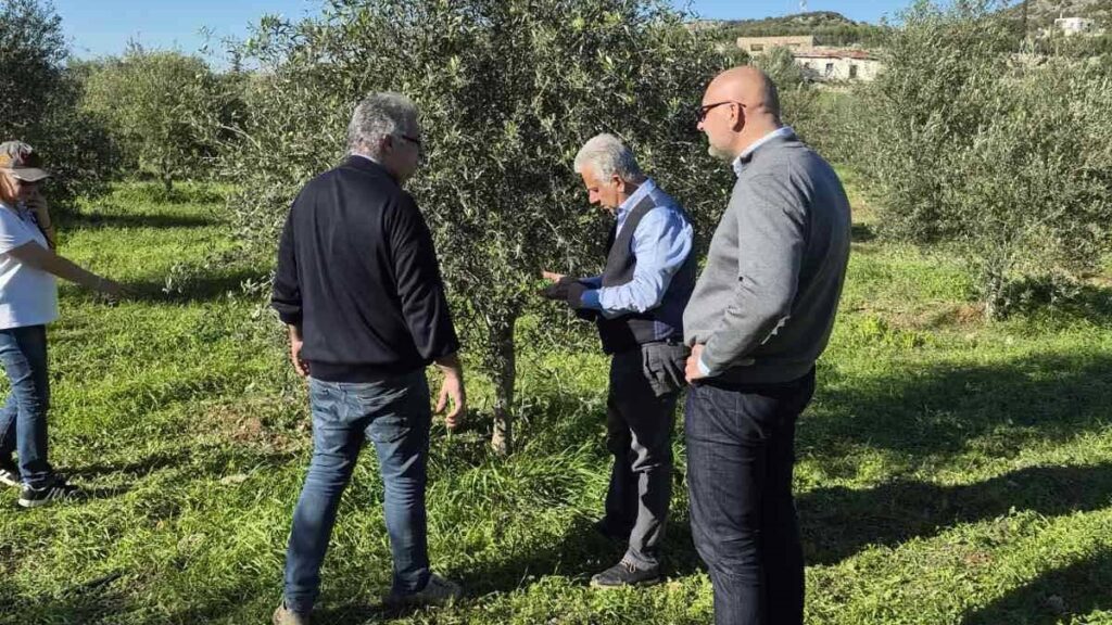 Στην περιοχή του Δήμου Ερμιονίδας για επιτόπια εξέταση και εκτίμηση των ζημιών