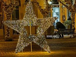 ΝΑΥΠΛΙΟ – 37.035,04 €    για  “ΕΝΟΙΚΙΑΣΗ  ΧΡΙΣΤΟΥΓΕΝΝΙΑΤΙΚΩΝ ΔΕΝΤΡΩΝ…”