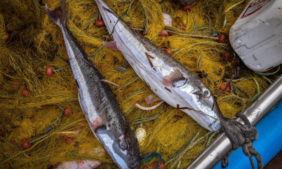 Γ. Γαβρήλος: Σε κίνδυνο ο Αργολικός κόλπος