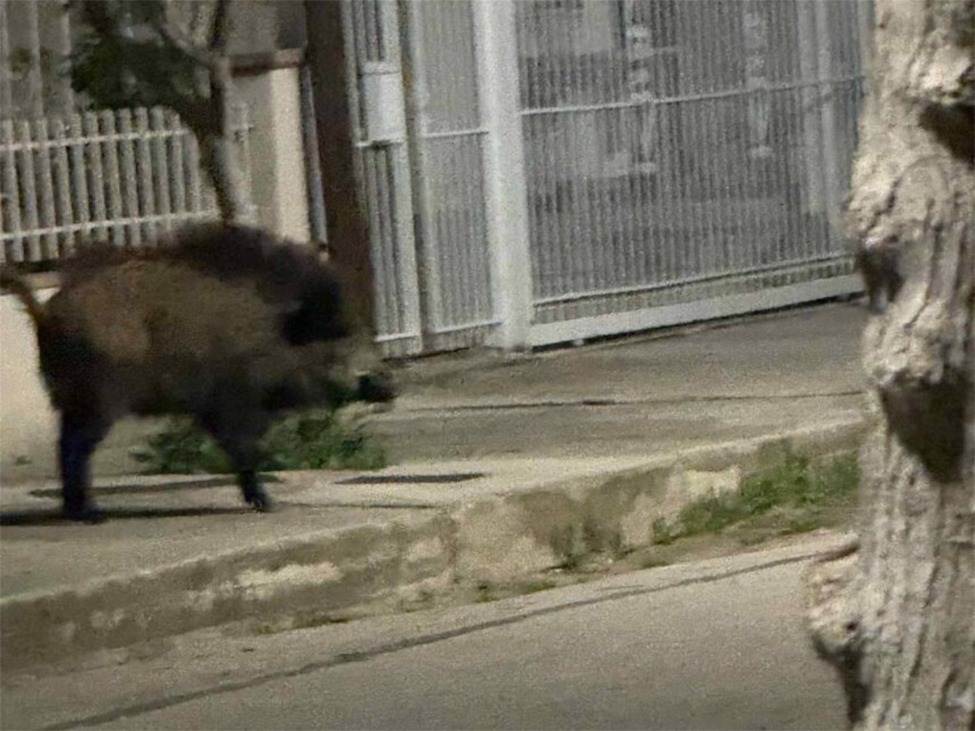 ΠΕΡΙΕΡΓΗ – ΕΠΙΚΙΝΔΥΝΗ …ΕΠΙΣΚΕΨΗ  ΣΤΗ Ν.ΚΙΟ