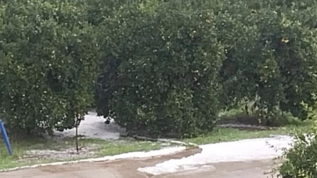 Η αγροτική παραγωγή της Αργολίδας δέχτηκε  ισχυρό πλήγμα