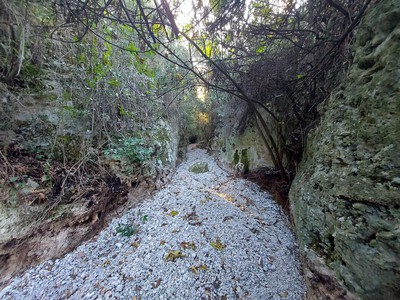 ΠΕΖΟΠΟΡΙΑ  στο Φαράγγι του Πρίνου – video