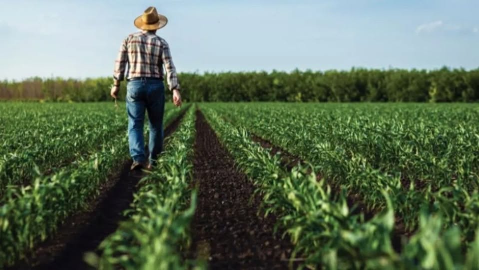 Η MERCOSUR ΕΙΝΑΙ ΕΘΝΙΚΗ ΑΥΤΟΧΕΙΡΙΑ – ΞΕΠΟΥΛΑΝΕ ΤΟΝ ΕΛΛΗΝΑ ΑΓΡΟΤΗ ΓΙΑ ΤΑ ΣΥΜΦΕΡΟΝΤΑ ΤΩΝ ΞΕΝΩΝ