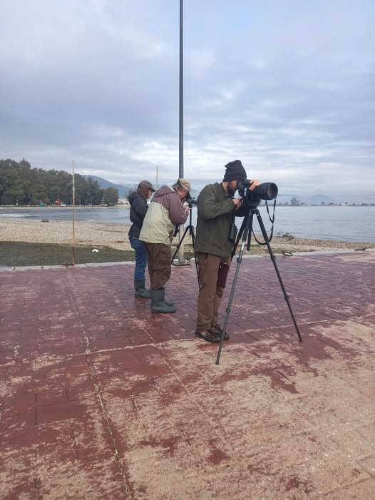 Στον Υγρότοπο Νέας Κίου – Ναυπλίου πραγματοποιήθηκαν οι ΜΕΚΥΠ