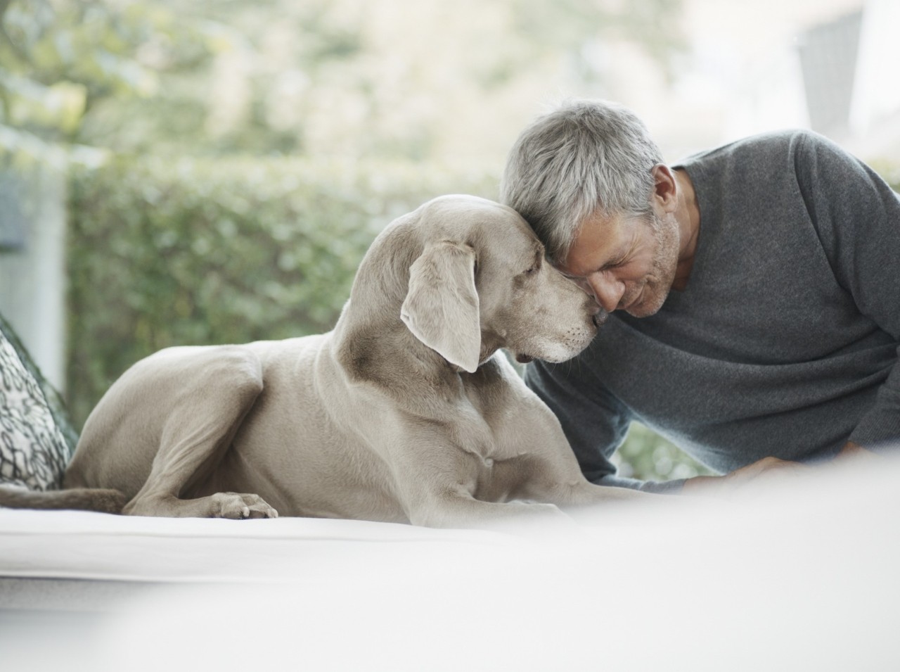 Η χρυσή εποχή των κατοικιδίων – Πώς η μοναξιά γεμίζει τα ταμεία μιας αναπτυσσόμενης αγοράς
