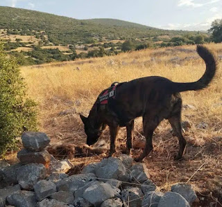 Συναγερμός στο Ναύπλιο για δηλητηριασμένα δολώματα