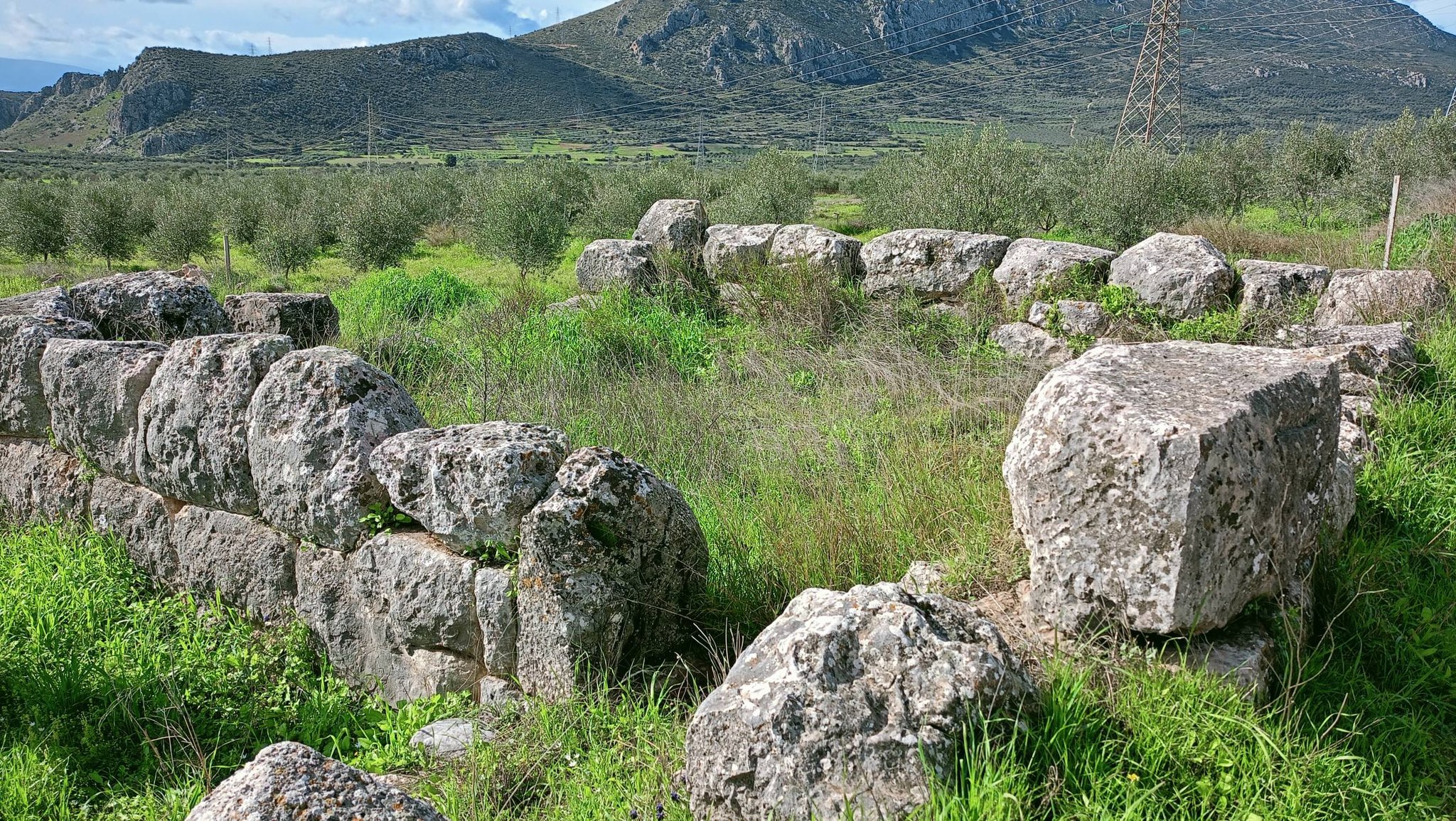 ΠΥΡΓΟΥΘΙ ΠΡΟΣΥΜΝΗΣ.