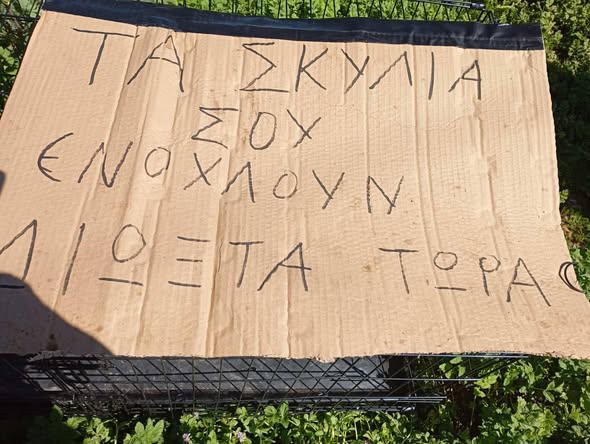 ΜΑΚΕΛΕΙΟ  ΣΤΟ  ΑΡΓΟΣ