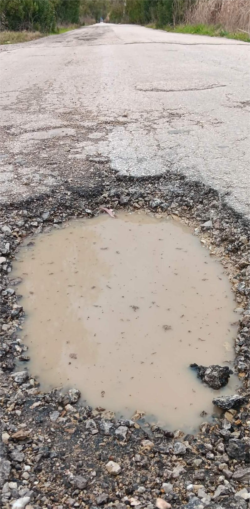 ΝΑΥΠΛΙΟ – ΓΟΥΒΕΣ …ΓΟΥΒΕΣ…ΓΟΥΒΕΣ…ΠΑΜΕ  ΓΙΑ ΤΟ  ΚΥΠΕΛΛΟ  ???