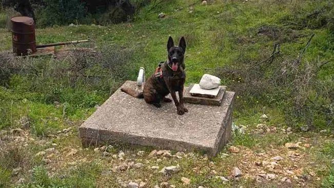 ΕΓΚΛΗΜΑΤΙΚΗ  ΕΝΕΡΓΕΙΑ