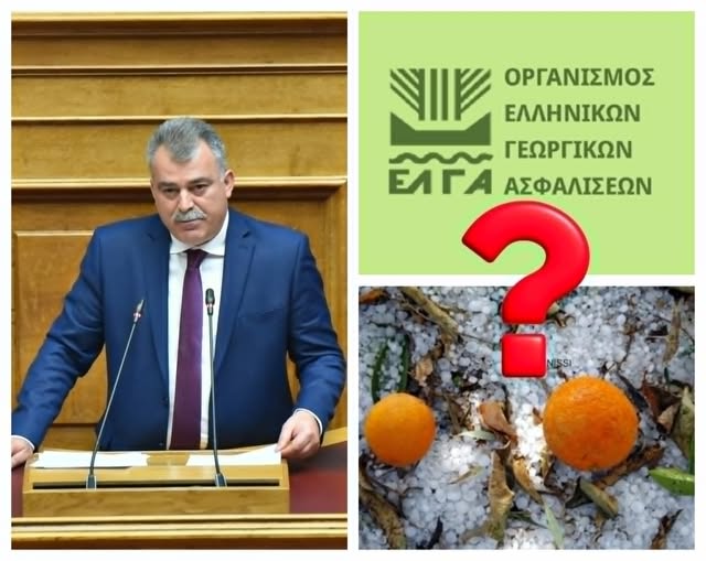 ΑΡΓΟΛΙΔΑ – ΑΠΟΖΗΜΙΩΣΕΙΣ  ΕΛΓΑ