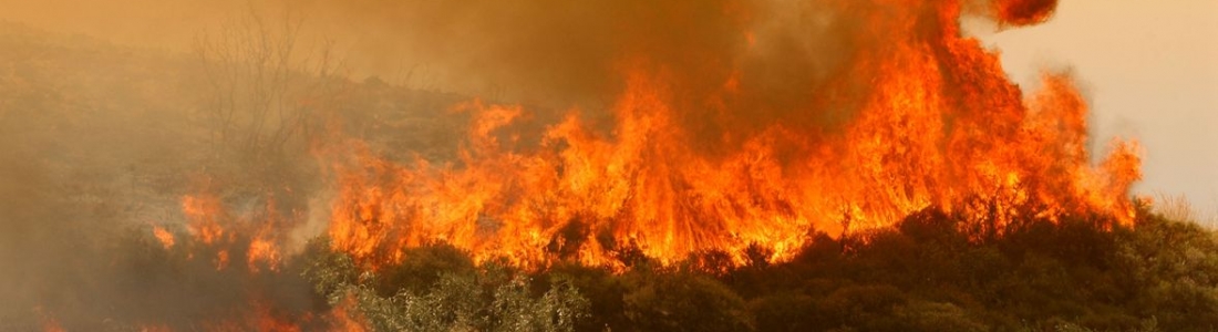 Σύλληψη στην Επίδαυρο για πυρκαγιά – Πρόστιμο 1.125€