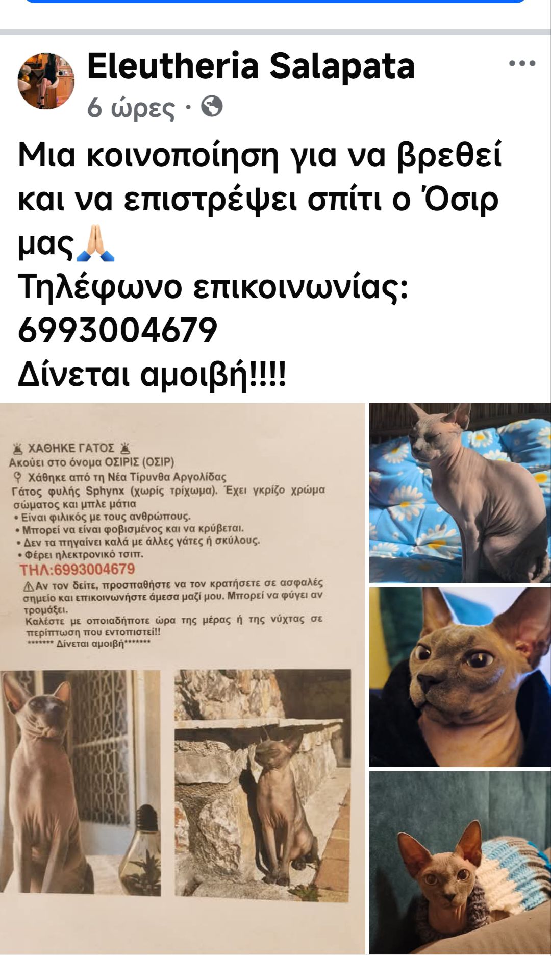 ΧΑΘΗΚΕ –  ΔΙΝΕΤΑΙ  ΑΜΟΙΒΗ