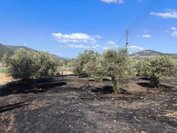 ΣΥΝΑΓΕΡΜΟΣ  ΓΙΑ  ΠΥΡΚΑΓΙΑ  ΣΤΟ  ΡΑΔΟ