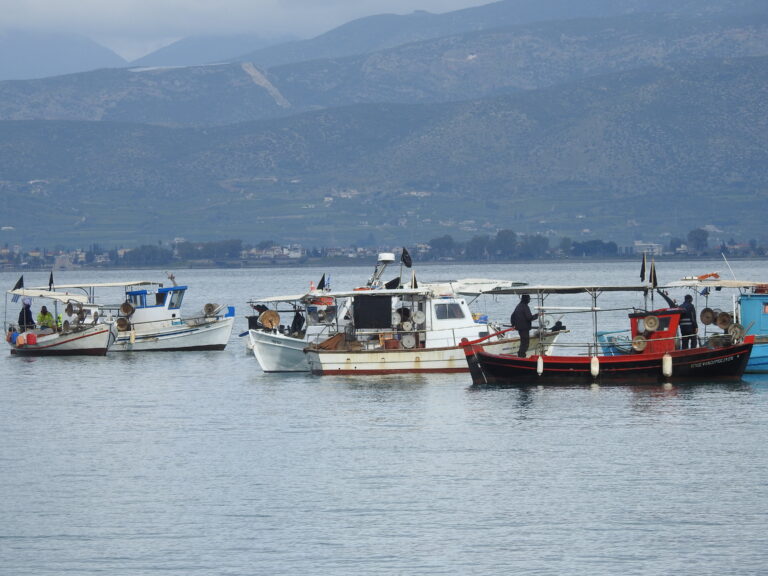 Σωματείο Επαγγελματιών Αλιέων δήμου Ναυπλιέων (ο Αργολικός) –   ΑΓΑΝΑΚΤΗΣΗ