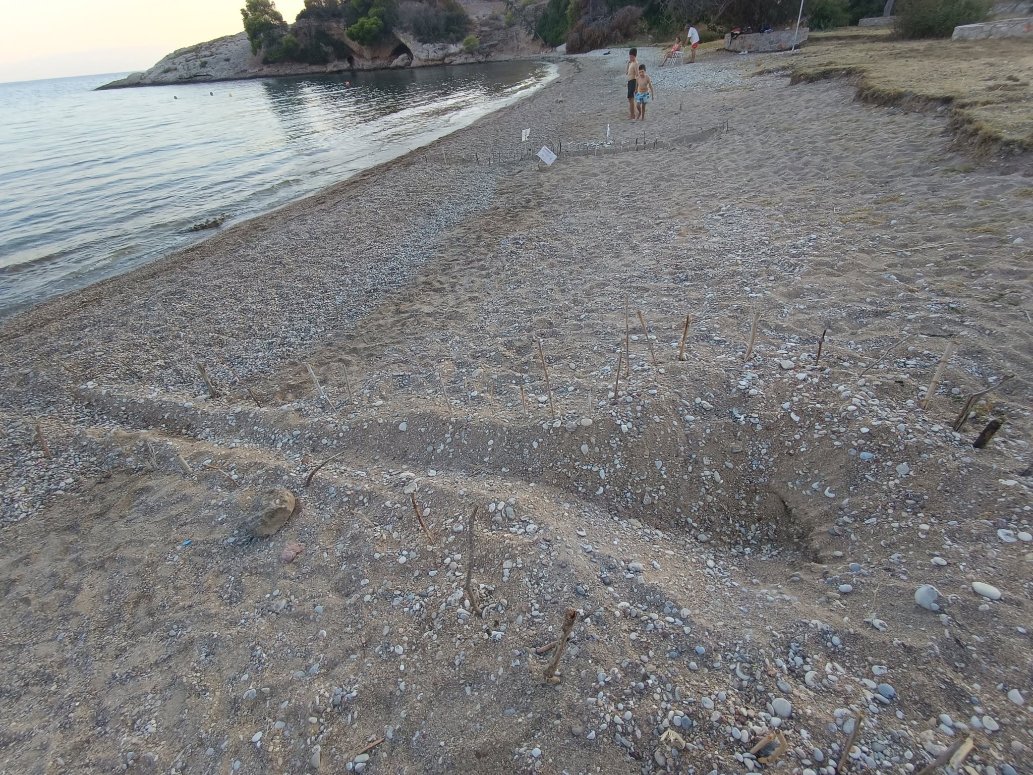 Μια μικρή αλλά πολύτιμη είδηση για την Ερμιονίδα: η φύση συνεχίζει να μας εκπλήσσει!